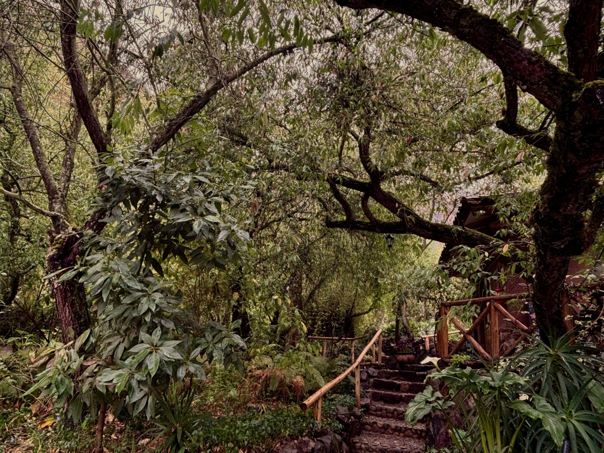 El Campus Jardín de Munay Sonqo entre la vegetación del Valle Sagrado